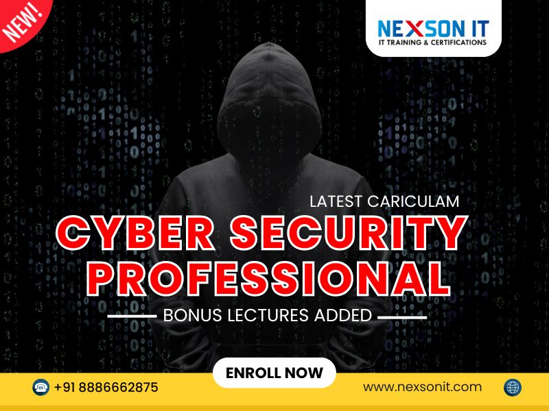 Cyber Security Professional Course